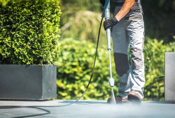 Best Animal Enclosure Cleaning  in Slocom, AL